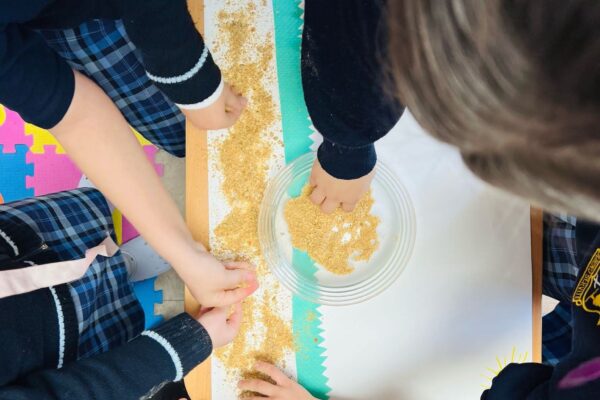 Săptămâna Verde 2025 (10)