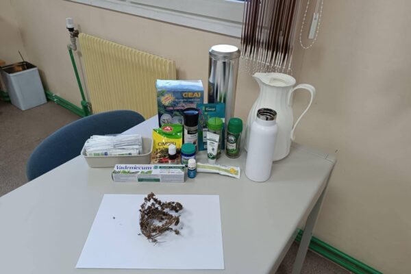 Săptămâna Verde 2025 (25)