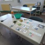 Săptămâna Verde 2025 (26)