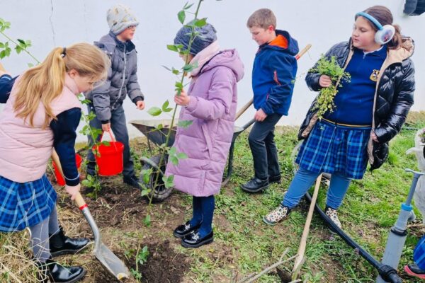 Săptămâna Verde 2025 (7)