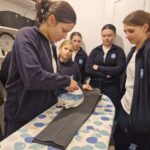 WhatsApp Image 2026-02-01 at 17.17.35